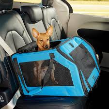 best dog car seats