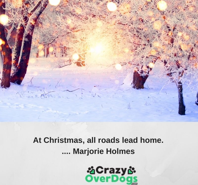 At Christmas, all roads lead home..... Marjorie Holmes.
