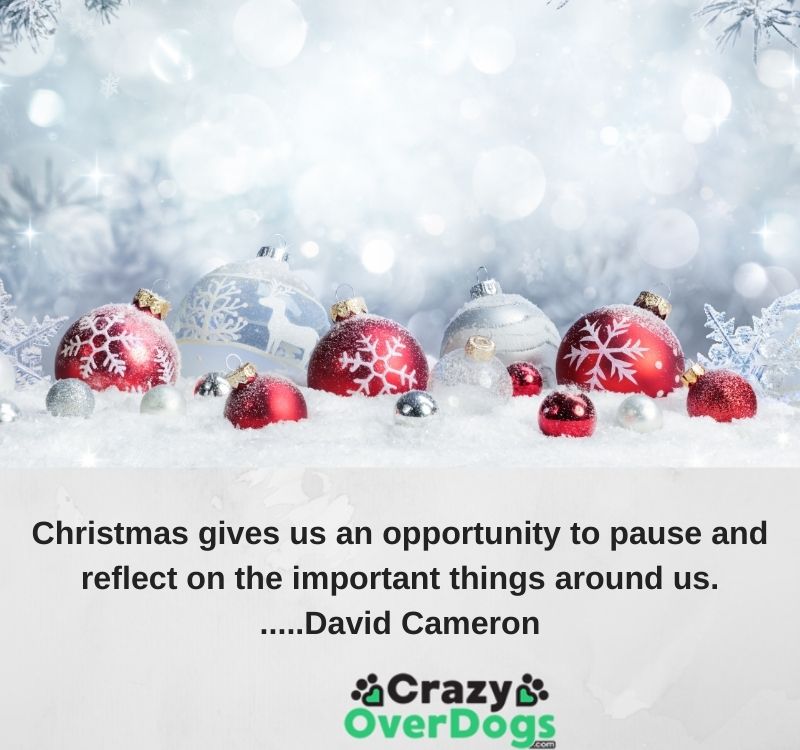 Christmas gives us an opportunity to pause and reflect on the important things around us......David Cameron