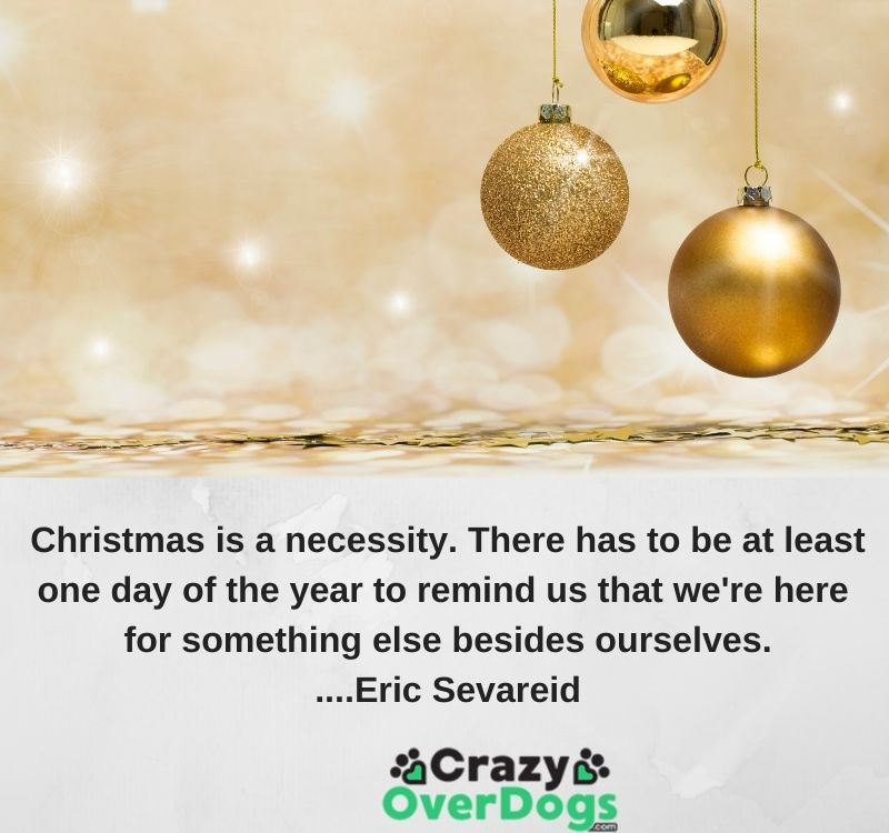 Christmas is a necessity. There has to be at least one day of the year to remind us that we're here for something else besides ourselves...Eric Sevareid