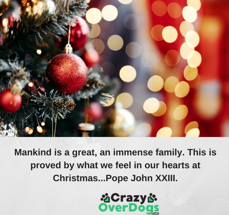 inspirational christmas quotes - Mankind is a great, an immense family. This is proved by what we feel in our hearts at Christmas...Pope John XXIII.