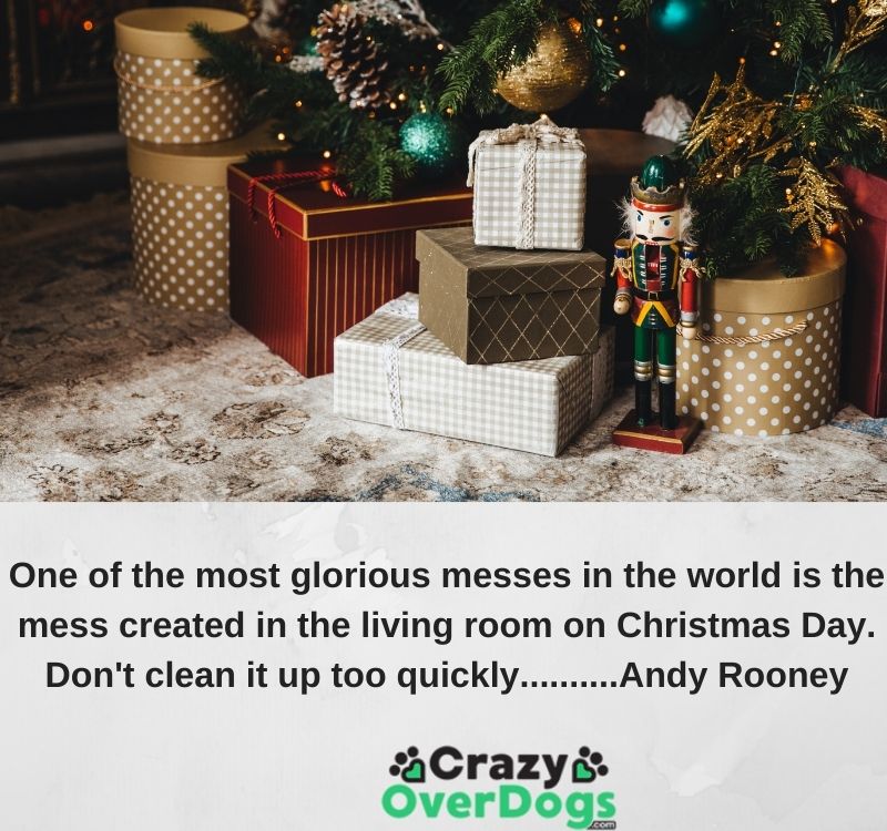 One of the most glorious messes in the world is the mess created in the living room on Christmas Day. Don't clean it up too quickly..........Andy Rooney