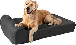 Best Orthopedic Dog Beds