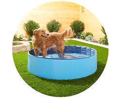 outdoor dog products