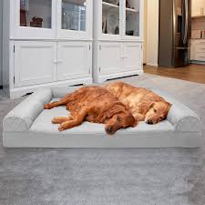 Best Orthopedic Dog Beds