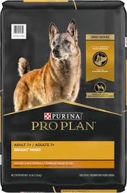 Best Dog Food For Senior Dogs