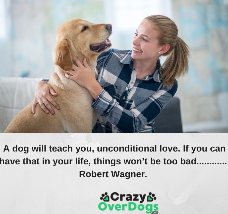 best inspirational dog quotes