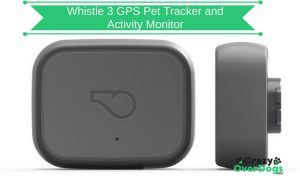 Whistle 3 GPS Pet Tracker and Activity Monitor