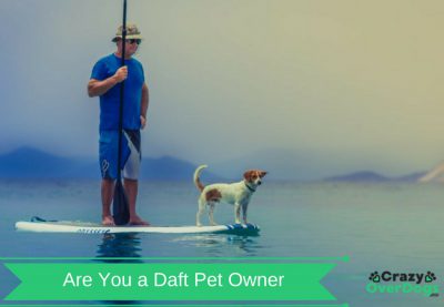 Are You A Daft Pet Owner - Quiz
