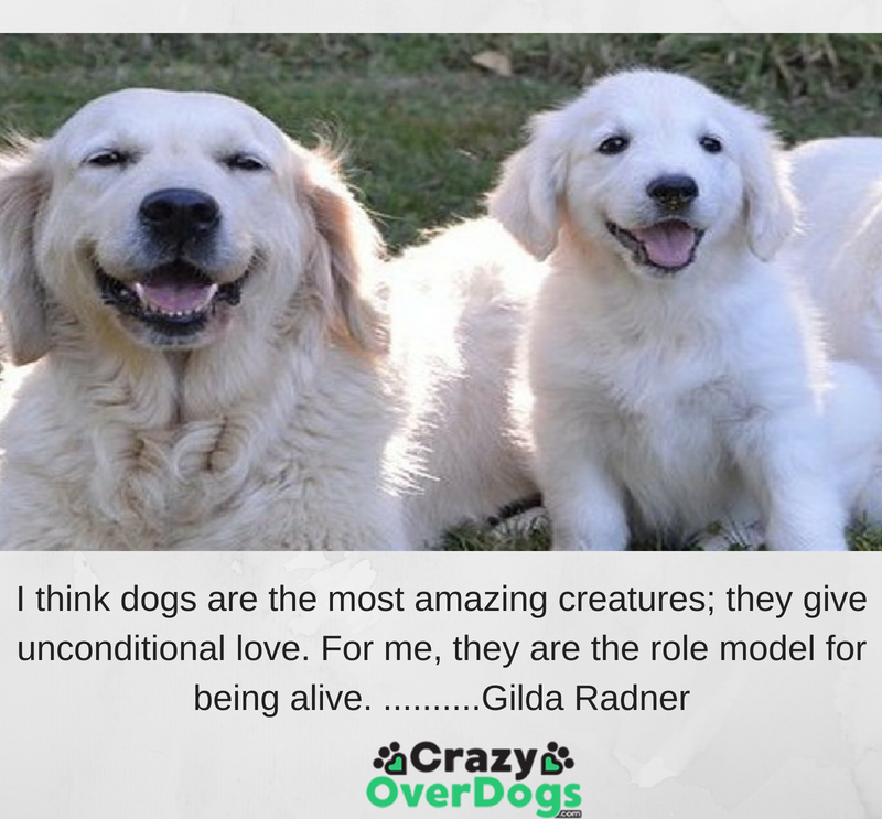 inspirational dog quotes | Crazy Over Dogs - All Dogs Matter