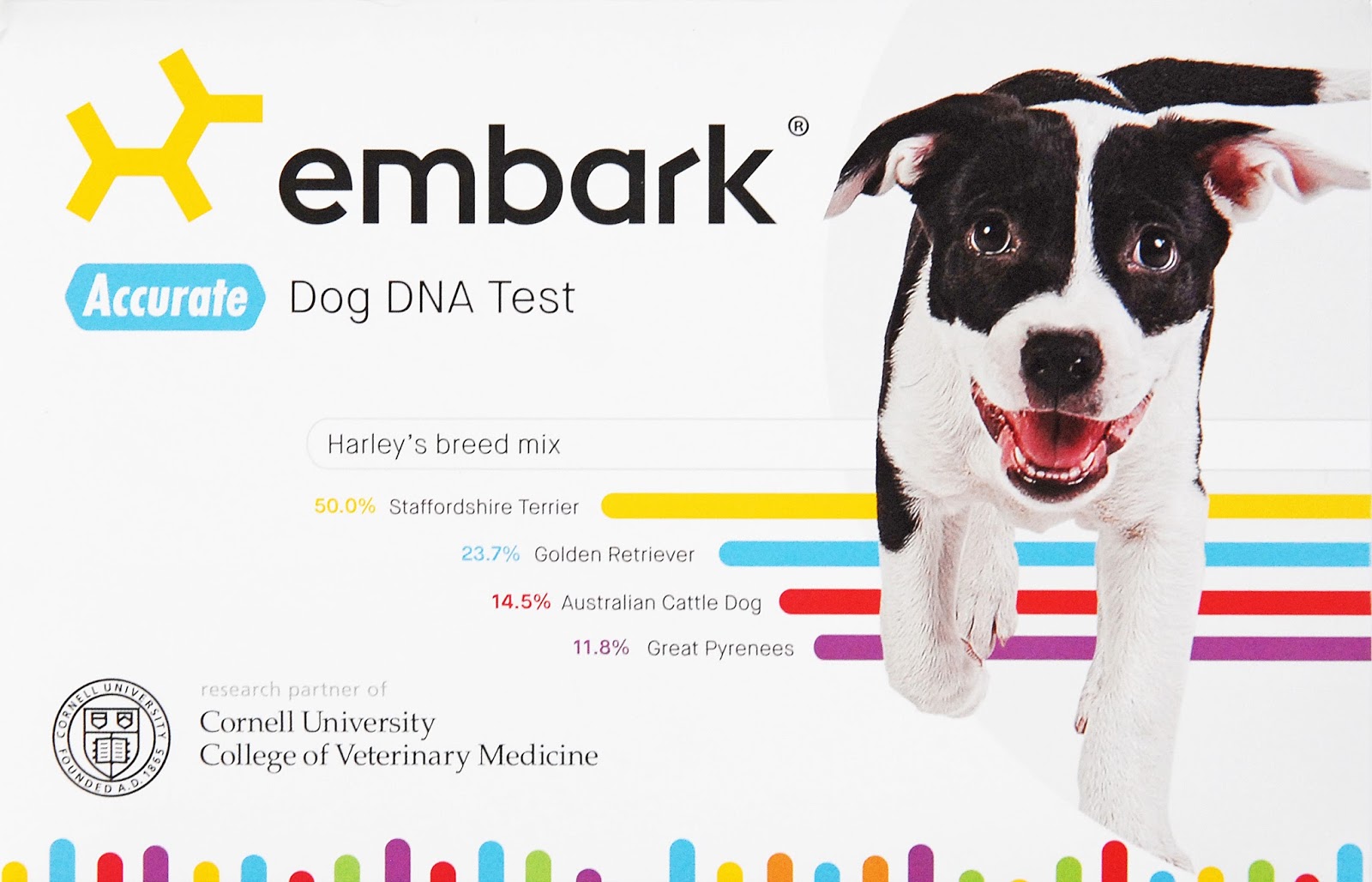 Embark_Dog_DNA_Test_Box Crazy Over Dogs All Dogs Matter