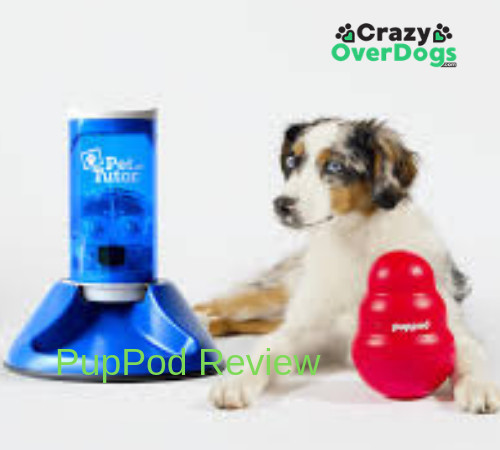 PupPod Review | Crazy Over Dogs - All Dogs Matter