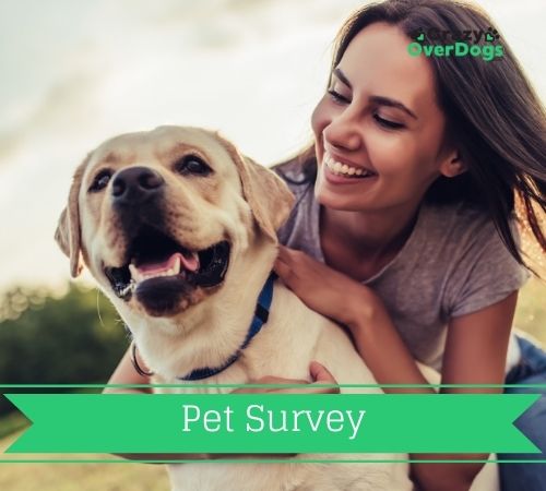 pet survey