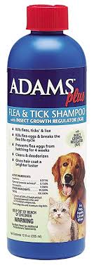 The Best Flea and Tick Shampoo for Dogs