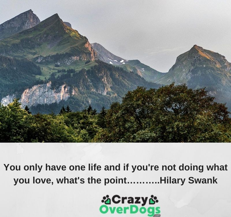 You only have one life and if you're not doing what you love, what's the point………..Hilary Swank
