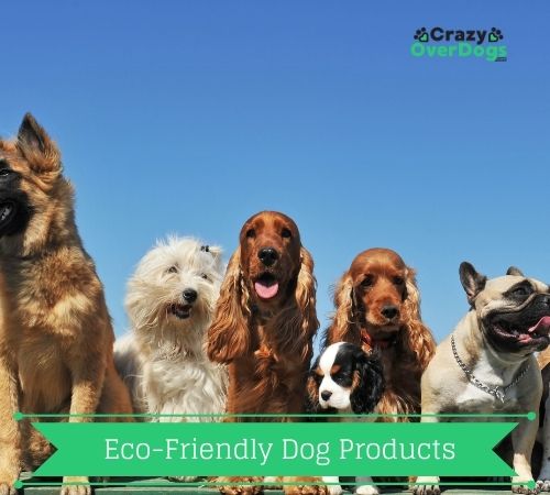 eco friendly dog products