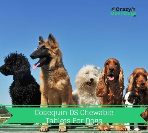 Cosequin DS Chewable Tablets For Dogs