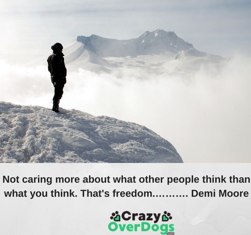 Not caring more about what other people think than what you think. That's freedom.………. Demi Moore