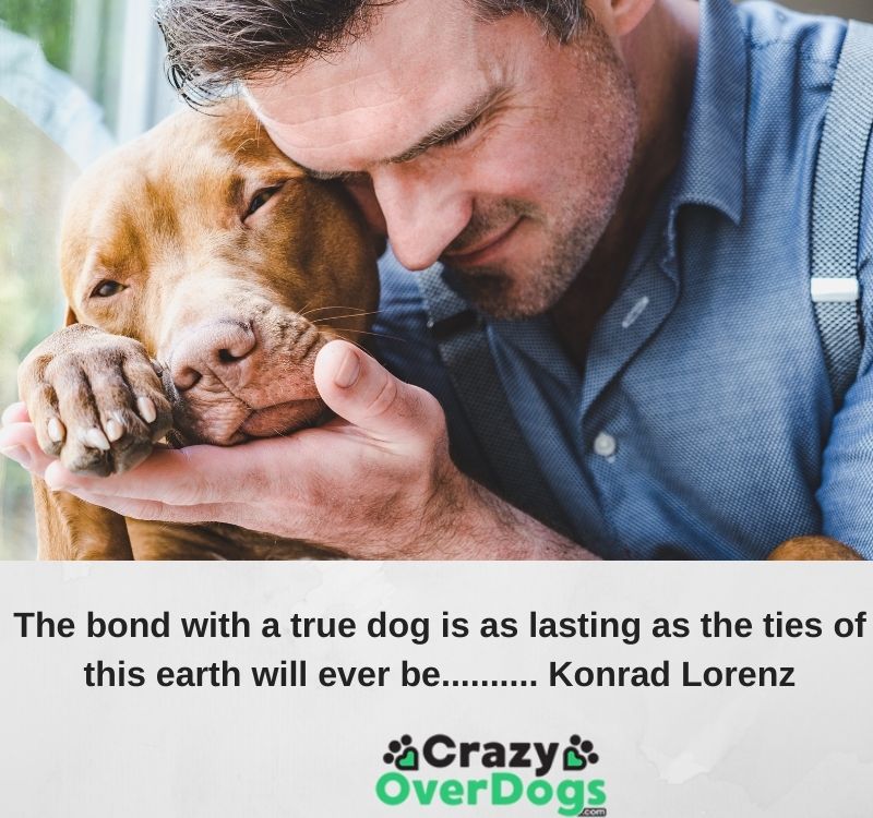 Inspirational Dog Quote For Dog Lovers